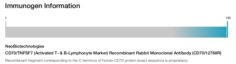 CD70/TNFSF7 (Activated T- & B-Lymphocyte Marker) Recombinant Rabbit Monoclonal Antibody (CD70/12768R)