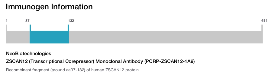 ZSCAN12 (Transcriptional Corepressor) Monoclonal Antibody (PCRP-ZSCAN12-1A9)