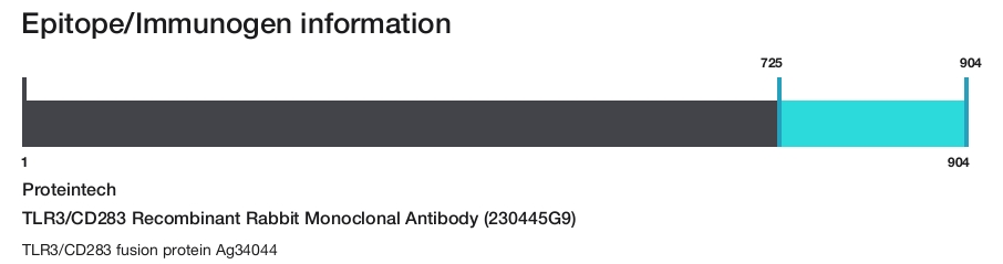 TLR3/CD283 Recombinant Rabbit Monoclonal Antibody (230445G9)
