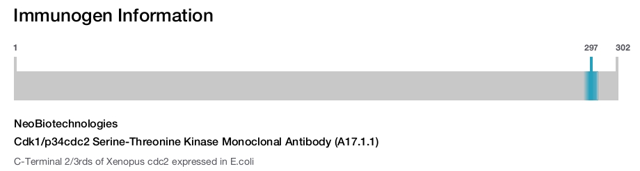 Cdk1/p34cdc2 Serine-Threonine Kinase Monoclonal Antibody (A17.1.1)