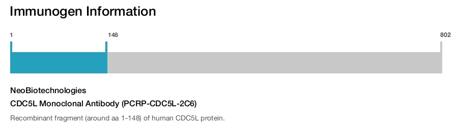 CDC5L Monoclonal Antibody (PCRP-CDC5L-2C6)