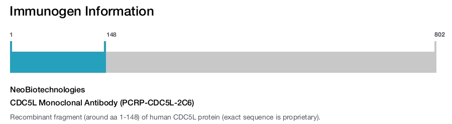 CDC5L Monoclonal Antibody (PCRP-CDC5L-2C6)