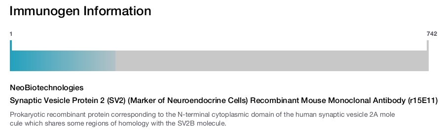 Synaptic Vesicle Protein 2 (SV2) (Marker of Neuroendocrine Cells) Recombinant Mouse Monoclonal Antibody (r15E11)