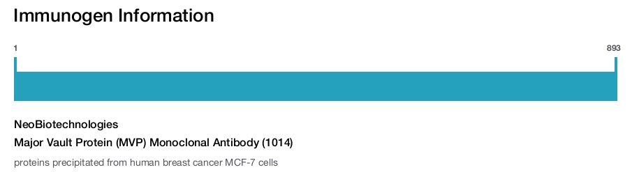 Major Vault Protein (MVP) Monoclonal Antibody (1014)