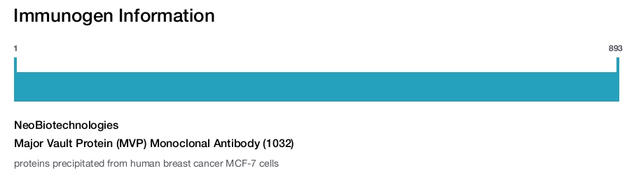 Major Vault Protein (MVP) Monoclonal Antibody (1032)