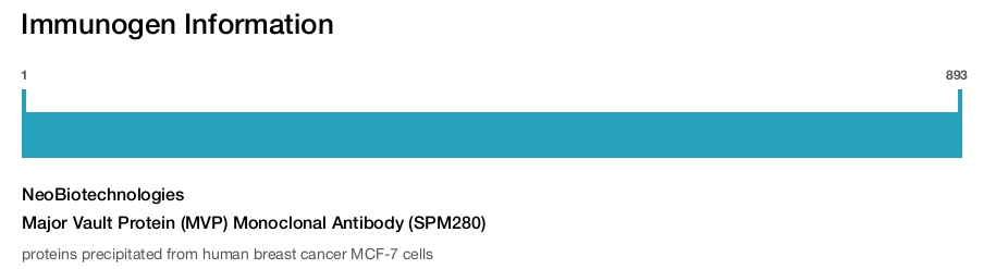 Major Vault Protein (MVP) Monoclonal Antibody (SPM280)