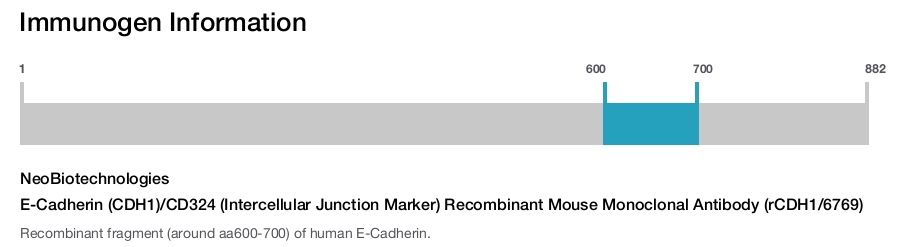 E-Cadherin (CDH1)/CD324 (Intercellular Junction Marker) Recombinant Mouse Monoclonal Antibody (rCDH1/6769)