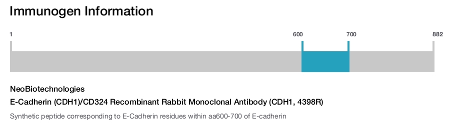 E-Cadherin (CDH1)/CD324 Recombinant Rabbit Monoclonal Antibody (CDH1, 4398R)
