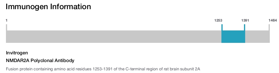 NMDAR2A Polyclonal Antibody