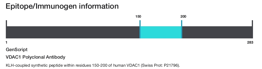 VDAC1 Polyclonal Antibody