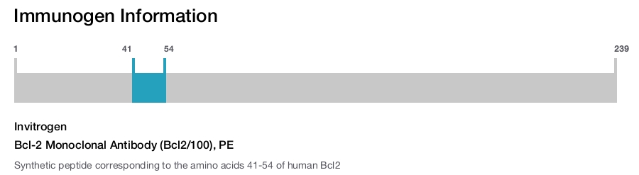 Bcl-2 Monoclonal Antibody (Bcl2/100), PE