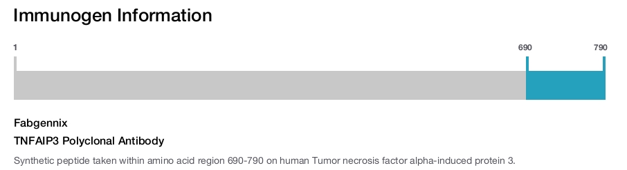 TNFAIP3 Polyclonal Antibody