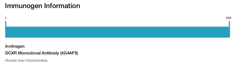 DCXR Monoclonal Antibody (4G4AF5)