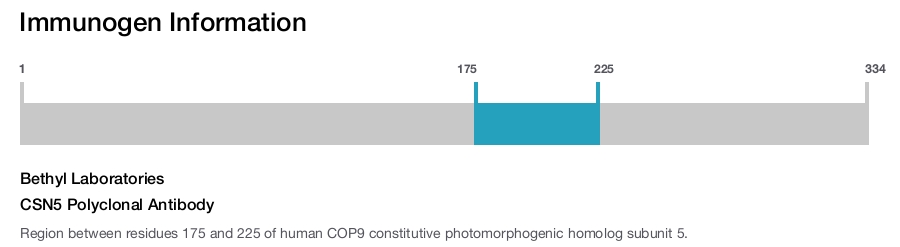 CSN5 Polyclonal Antibody