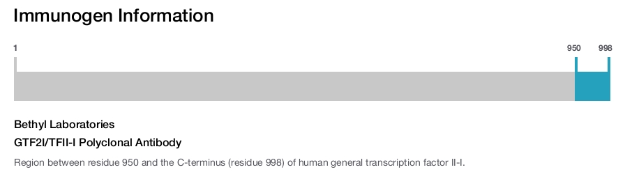 GTF2I/TFII-I Polyclonal Antibody