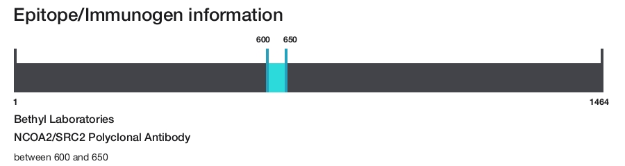 NCOA2/SRC2 Polyclonal Antibody