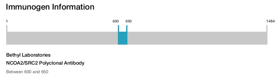 NCOA2/SRC2 Polyclonal Antibody