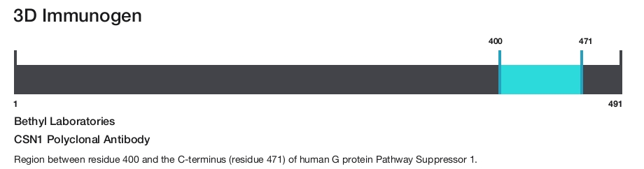 CSN1 Polyclonal Antibody