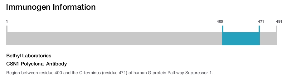 CSN1 Polyclonal Antibody