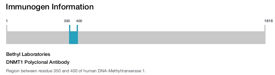 DNMT1 Polyclonal Antibody