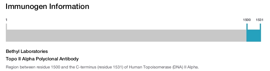 Topo II Alpha Polyclonal Antibody
