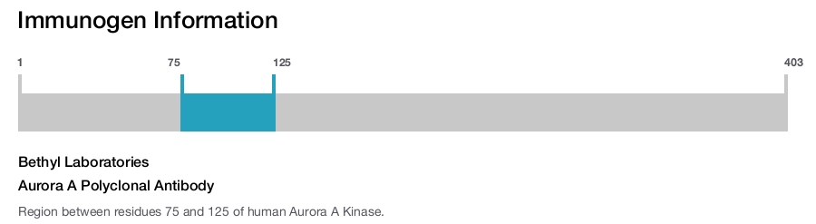 Aurora A Polyclonal Antibody