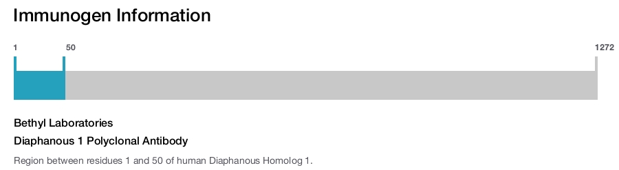 Diaphanous 1 Polyclonal Antibody