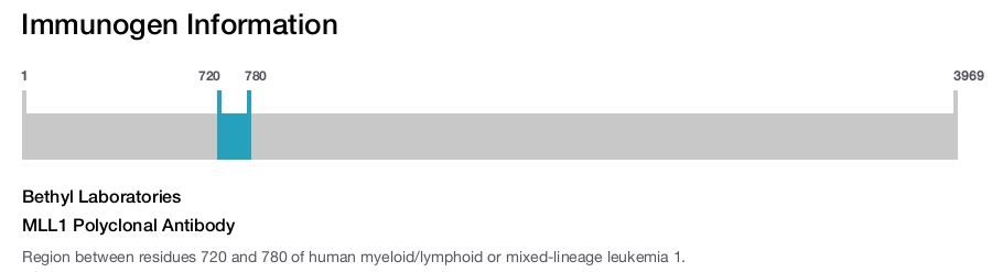 MLL1 Polyclonal Antibody