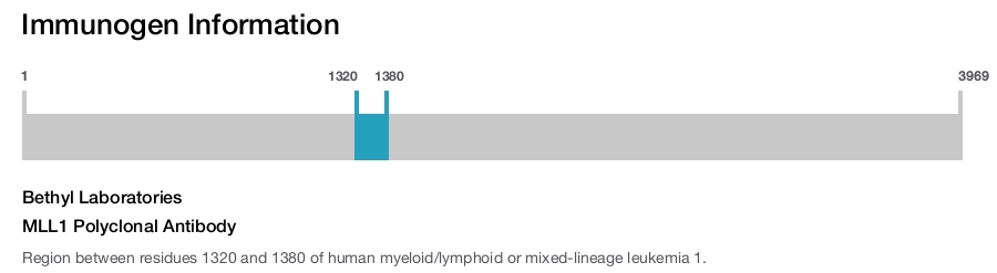 MLL1 Polyclonal Antibody