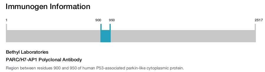 PARC/H7-AP1 Polyclonal Antibody