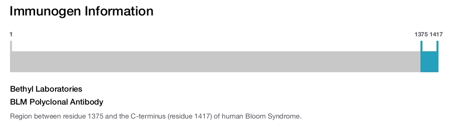 BLM Polyclonal Antibody