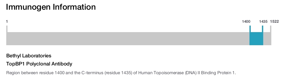 TopBP1 Polyclonal Antibody