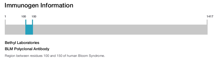 BLM Polyclonal Antibody