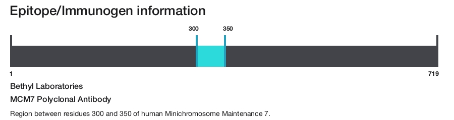 MCM7 Polyclonal Antibody