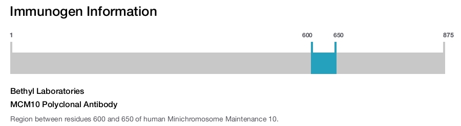 MCM10 Polyclonal Antibody
