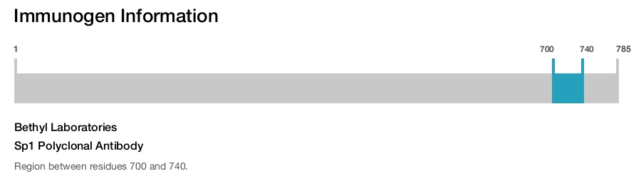 Sp1 Polyclonal Antibody