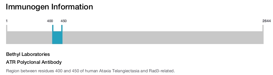 ATR Polyclonal Antibody