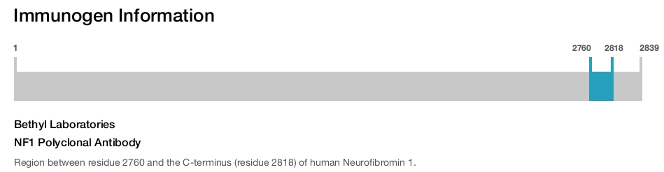 NF1 Polyclonal Antibody