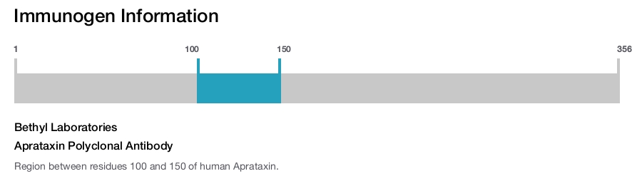 Aprataxin Polyclonal Antibody