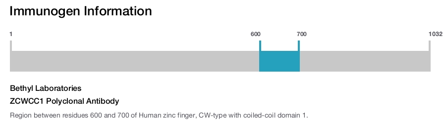 ZCWCC1 Polyclonal Antibody