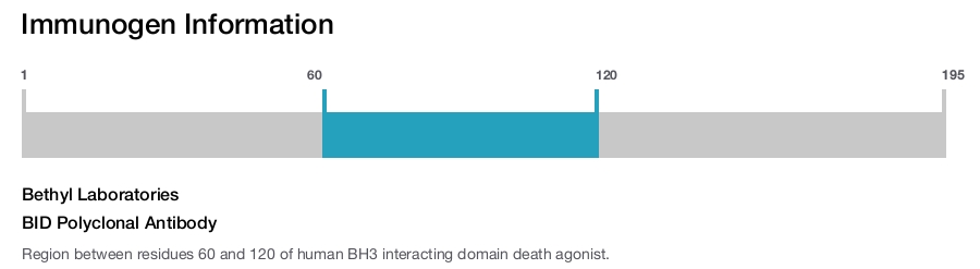 BID Polyclonal Antibody