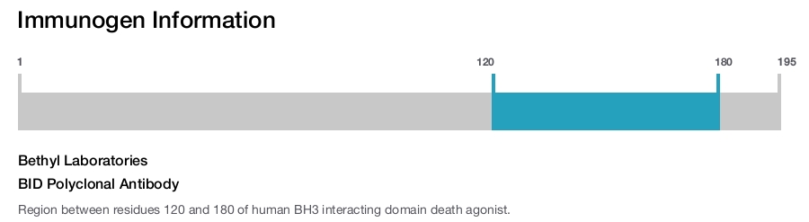 BID Polyclonal Antibody