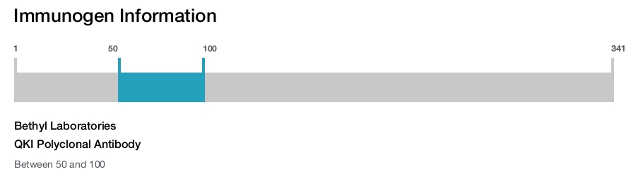 QKI Polyclonal Antibody