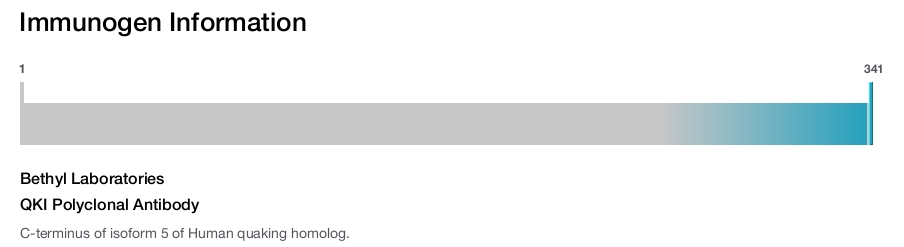 QKI Polyclonal Antibody