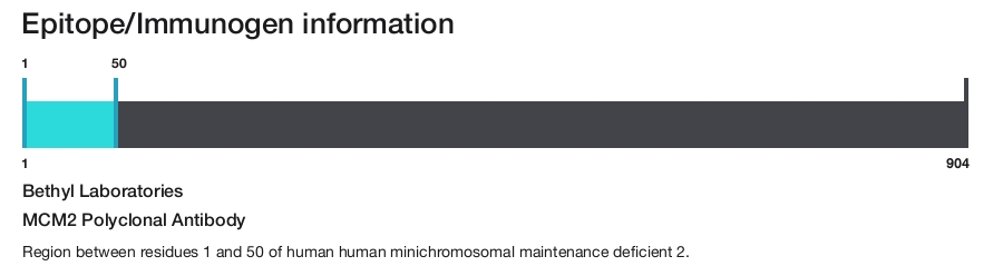 MCM2 Polyclonal Antibody