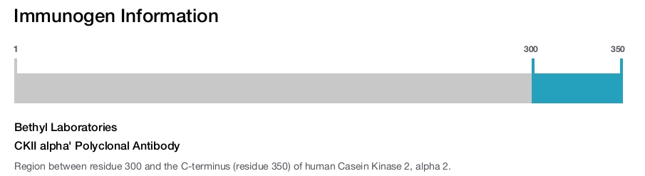 CKII alpha' Polyclonal Antibody