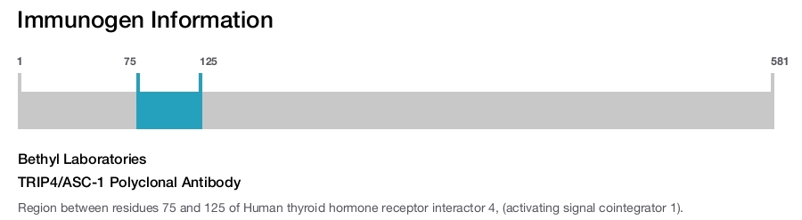 TRIP4/ASC-1 Polyclonal Antibody