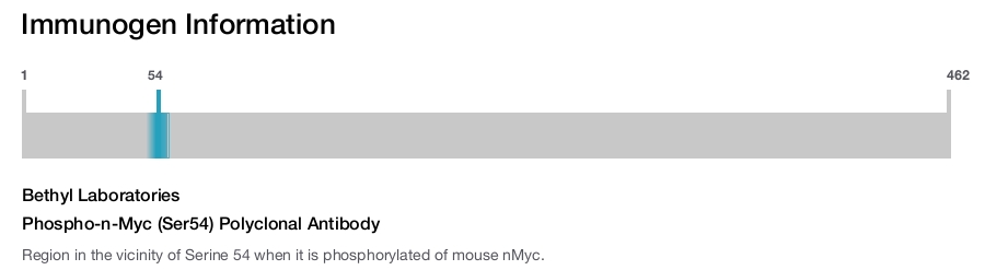 Phospho-n-Myc (Ser54) Polyclonal Antibody