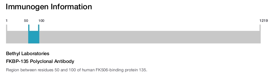 FKBP-135 Polyclonal Antibody