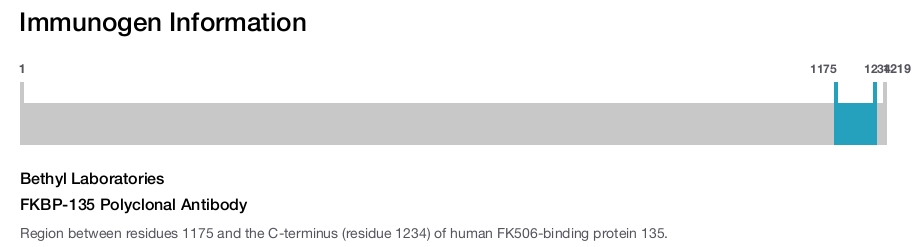 FKBP-135 Polyclonal Antibody